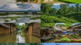 তাহমিমা আনামের ‘গুড বুকস’ অবলম্বনে তৈরি হচ্ছে টিভি সিরিজ
